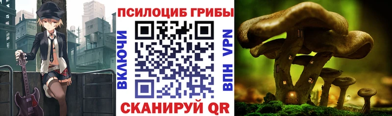 Псилоцибиновые грибы Cubensis  Майский 